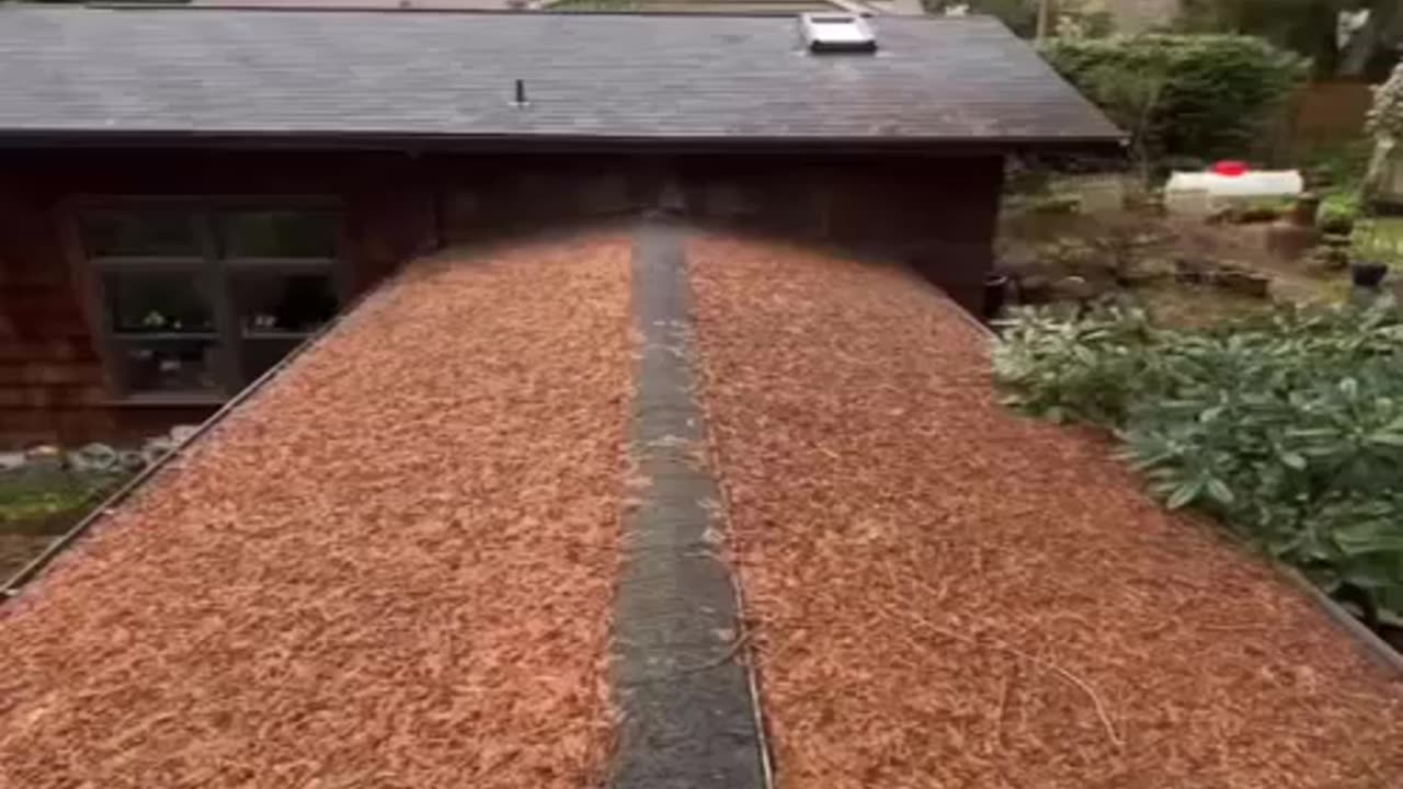 Interestings things in the world
