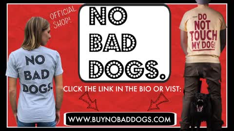 How to train your dog by yourself+ dog training loose lead walking