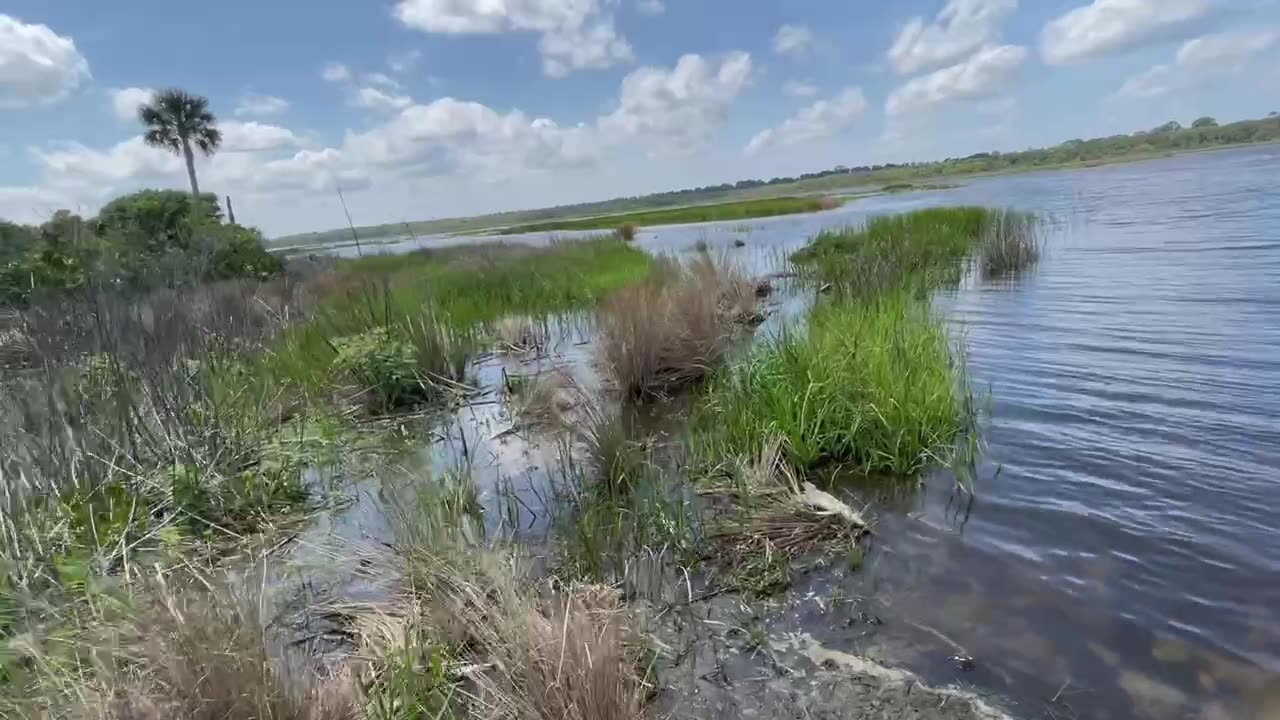 Lake Ponte Vedra 🌴🌴🌴FLORIDA🌴🌴🌴
