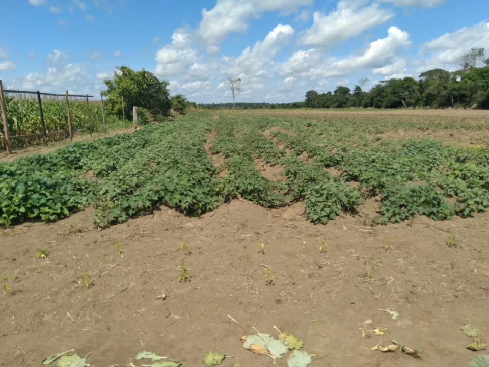 A Amazônia é o Faroeste Brasileiro