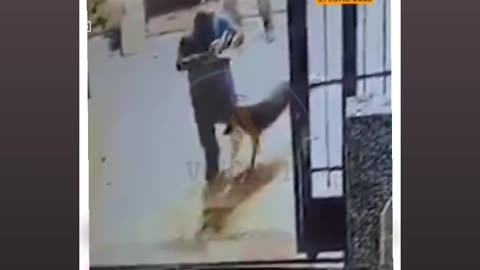 Israeli settlers were filmed tearing out pages of several copies of the Quran throwing them