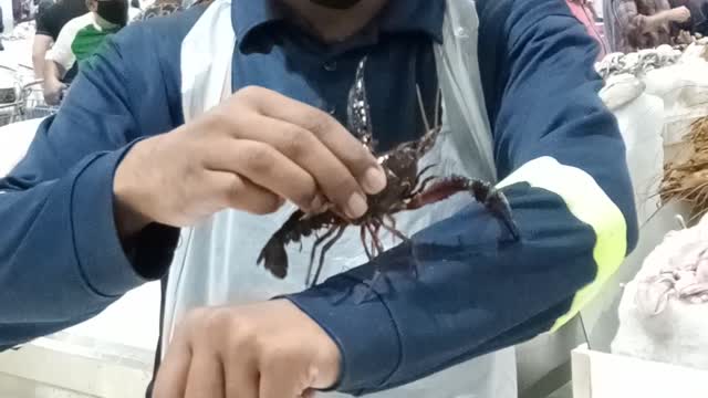 Dubai fish market