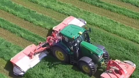 CRC vídeos curiosos