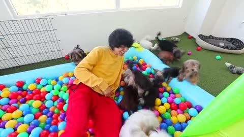 I ADOPTED 100 PETS!!