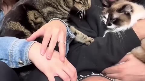 I’M_CONVINCED_THERE’S_A_HUMAN_IN_HIM!_😂(720p)