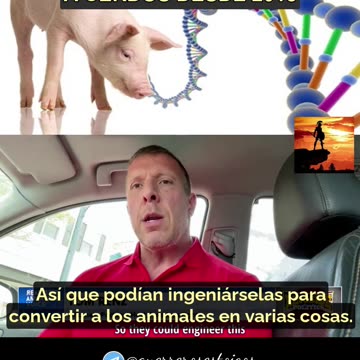 Tom Renz, Abogado - Los no vacunados no lo estarán por mucho tiempo.