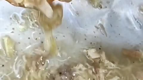 New chicken soup recipe