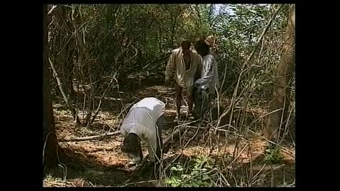 Robinson S01E06