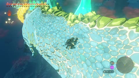 On top Thunder Dragon aka Master Sword Location