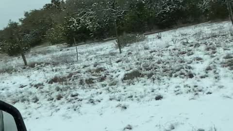 Texas snow storm