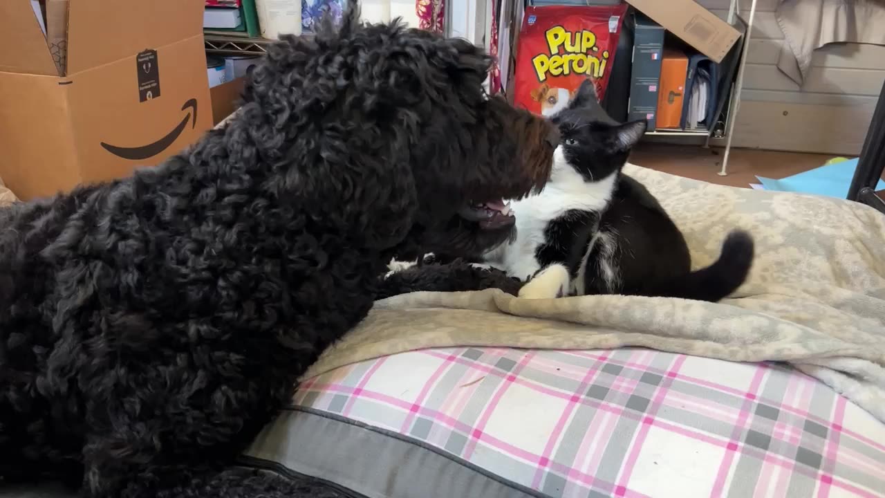 Even Best Friends Fight