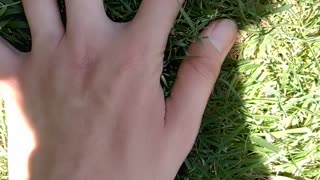 I touched grass