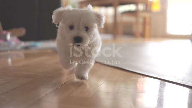 For more play