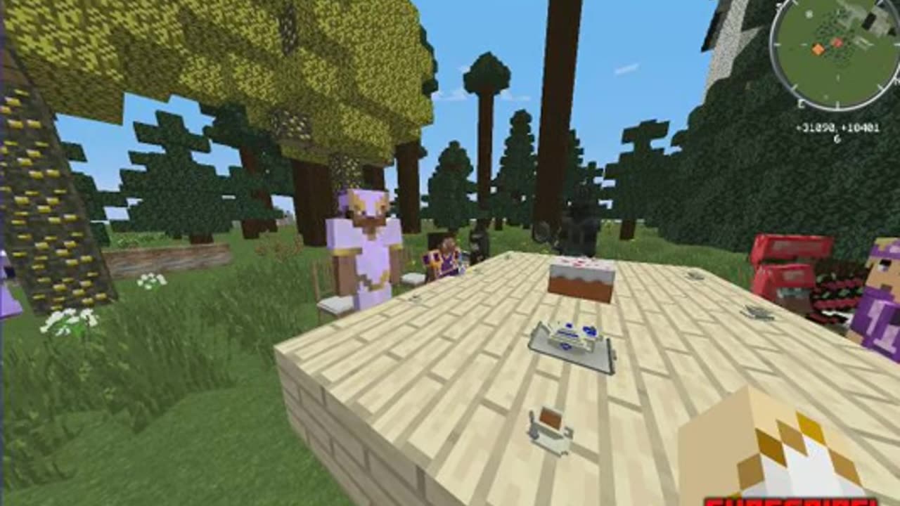 Minecraft WTF are you looking at GANDALF
