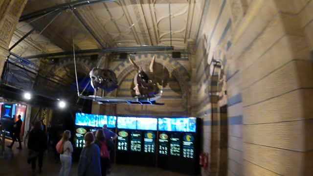 Quick walk around to get more footage before leaving the natural history museum. 7th Nov 2022