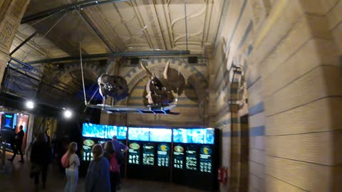 Quick walk around to get more footage before leaving the natural history museum. 7th Nov 2022