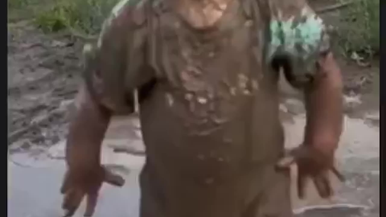 Watch this with your wife funny moments