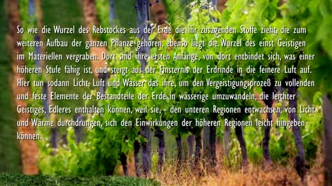 Jesus erklärt... Das Himmelreich gleicht einem Weinberg ❤️ Gleichnis von den Arbeitern im Weinberg