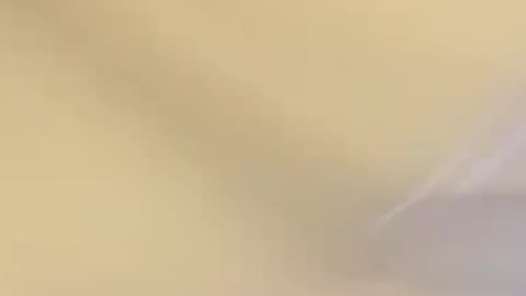 Funy cat
