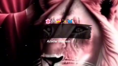 Dm mst qalender