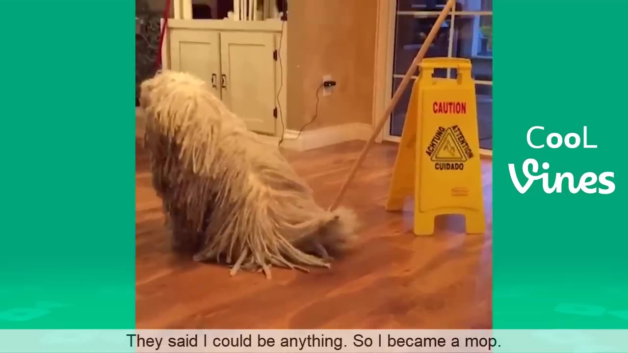 Funny mometns part4 :)