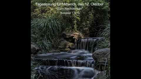 Tageslosung für Mittwoch, den 12. Oktober