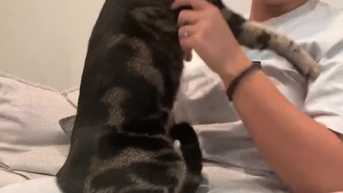 Not the attitude at the end 🤣