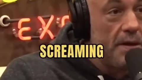 TRUMP AT UFC EVENTS JOE ROGAN