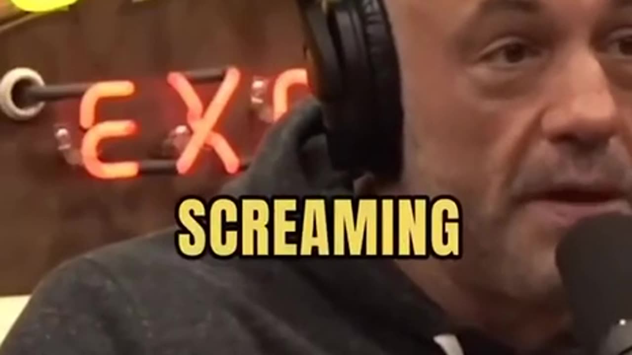 TRUMP AT UFC EVENTS JOE ROGAN