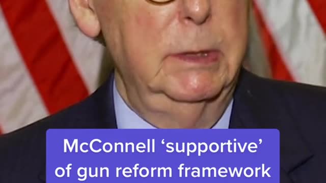 McConnell 'supportive' of gun reform framework