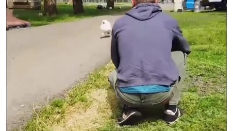 true love