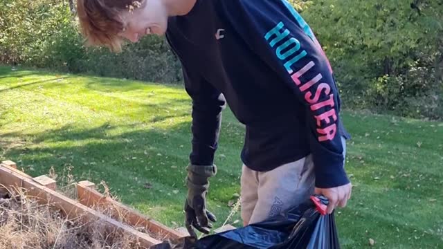 Son will not pull weeds
