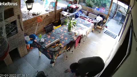 Father's Quick Reflexes Catch Falling Child