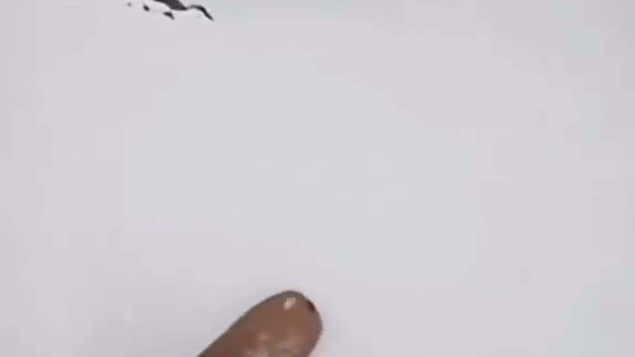 ohh noo thats my dog