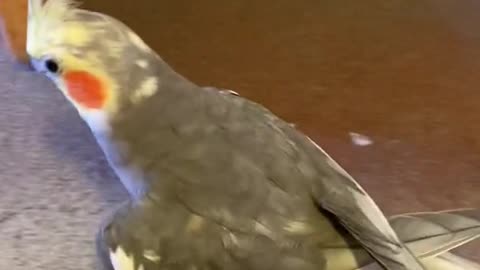 yumyumthetiel