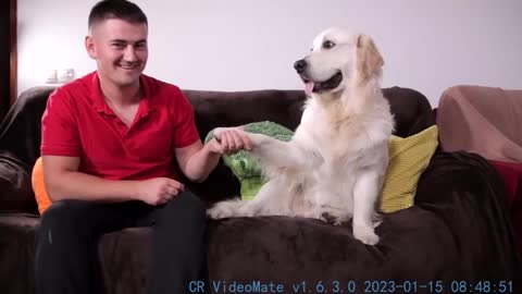 Holding My Dog's Paw as Long as Possible Funny Dog Reaction