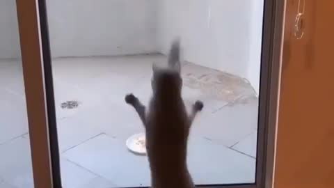 Looks like I found my next snack...