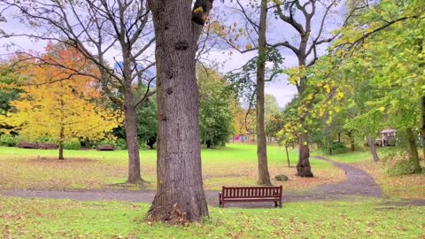 No one can keep the youth, just like this short autumn. # Study abroad Daily # fall