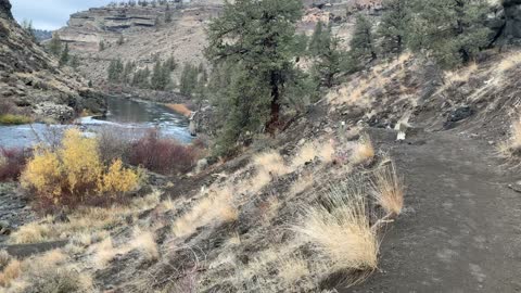 Central Oregon – Steelhead Falls – Approaching the Waterfall from Above – 4K