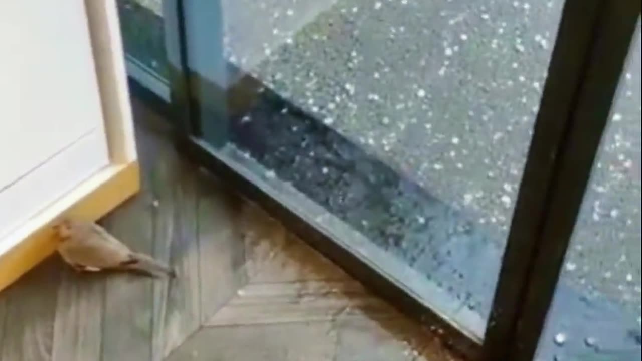 Heart ❤️ amazing video