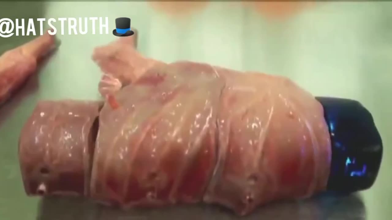 The Modularbody is a company working on transhumanism