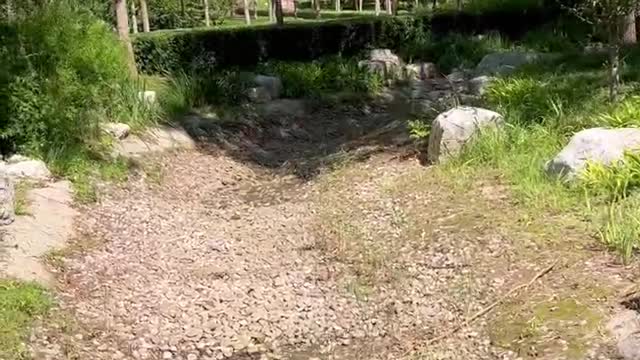 There's no grass here
