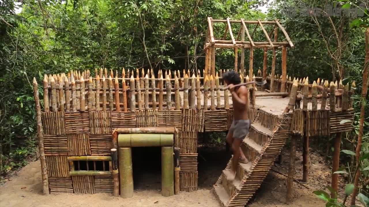 Build Technologically Modern Forest Houses with Garden and Swimming Pool