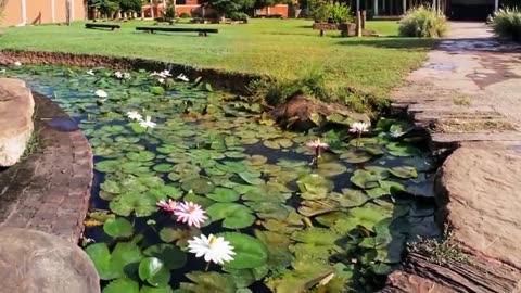 Meditation for Anxiety Relief: Breathe Your Worries Away