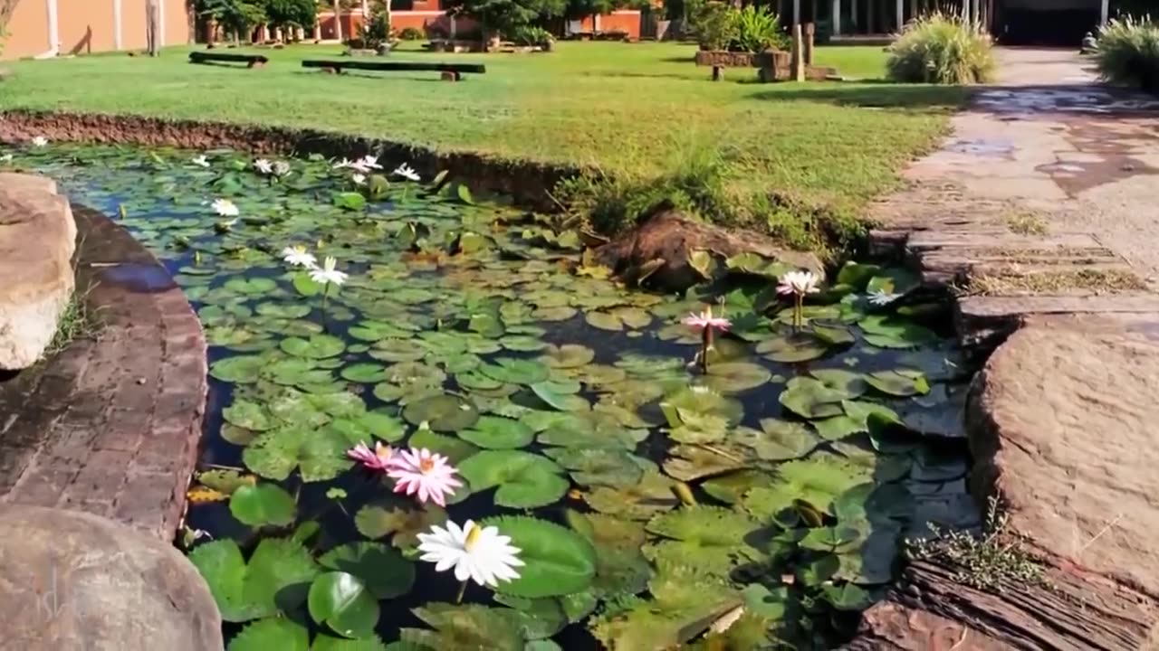 Meditation for Anxiety Relief: Breathe Your Worries Away