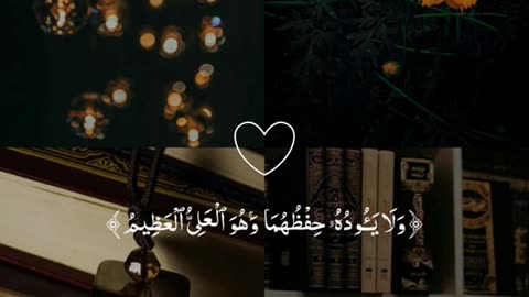 Quran reaction || heart touching voice | #quranrecitation #shortvideo