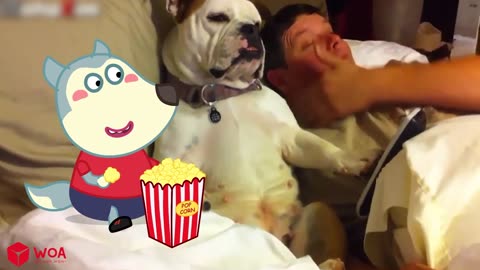 The Joy and Love that Pets Bring to Our Lives