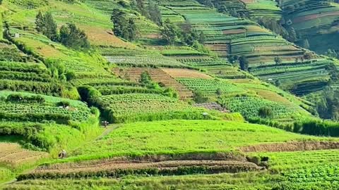 Prampelan Adipuro Kaliangkrik Magelang