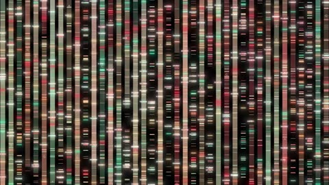 Machine Learning: Revolutionizing Weight Loss Diagnosis