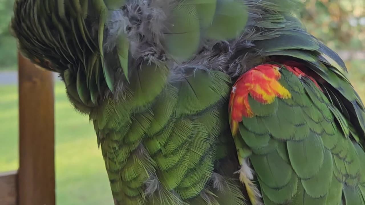 Another porch sitting